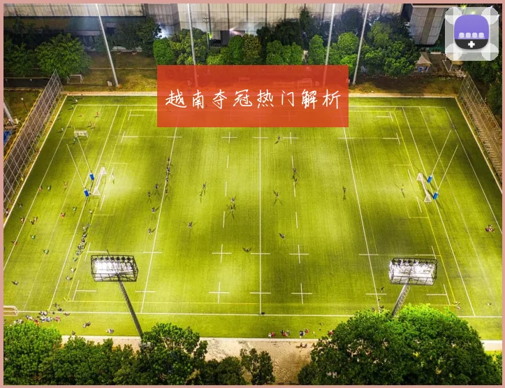 越南夺冠热门解析
