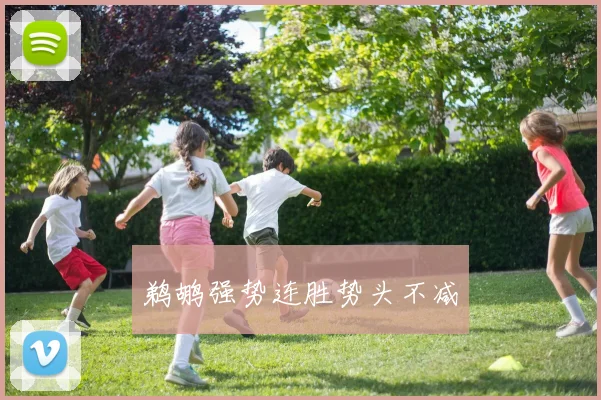 鹈鹕强势连胜势头不减