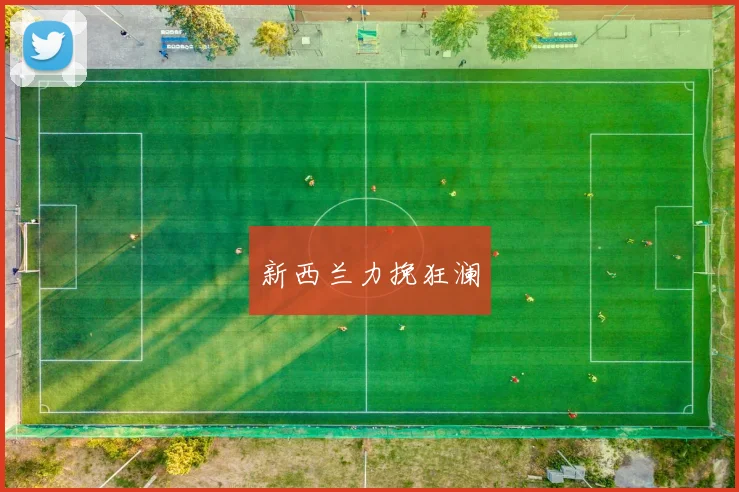 新西兰力挽狂澜