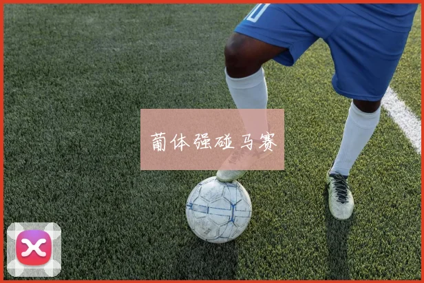 葡体强碰马赛