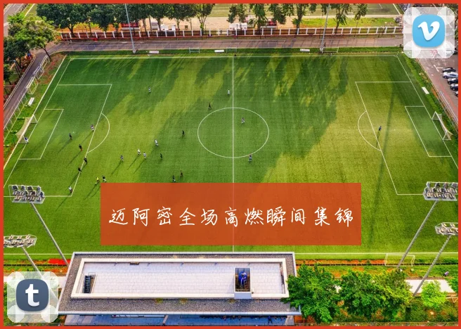 迈阿密全场高燃瞬间集锦