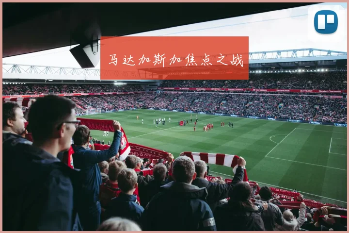 马达加斯加焦点之战