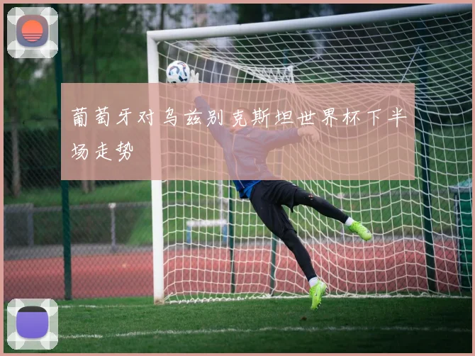 葡萄牙对乌兹别克斯坦世界杯下半场走势