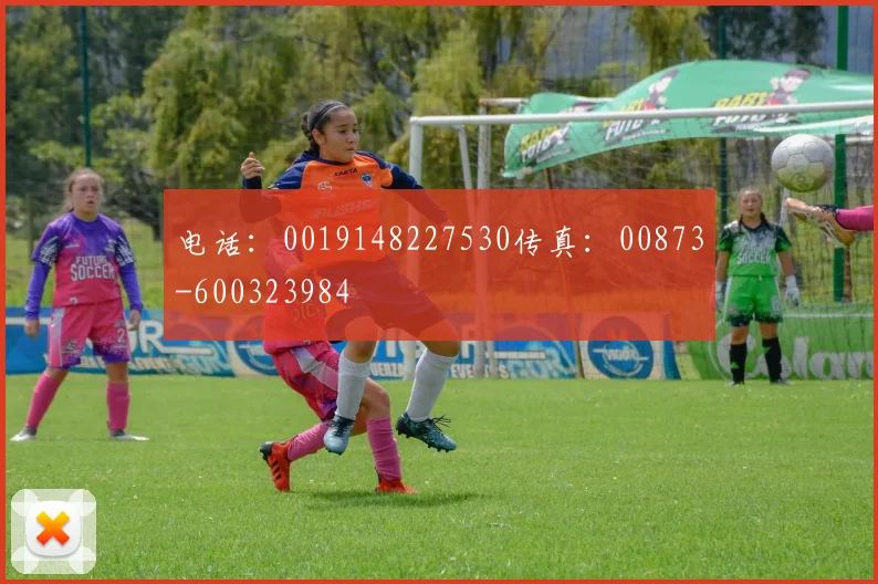 电话：0019148227530传真：00873-600323984