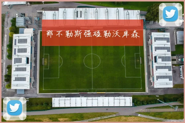 那不勒斯强碰勒沃库森