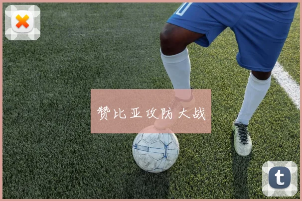 赞比亚攻防大战