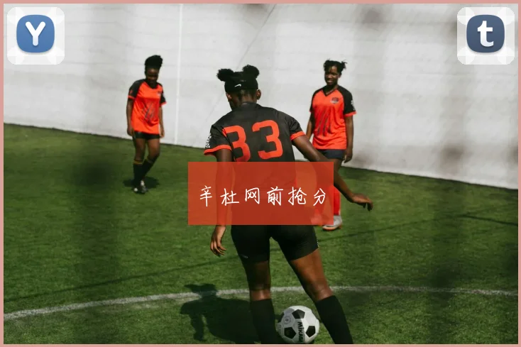 辛杜网前抢分