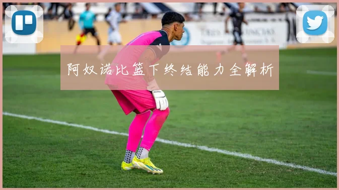 阿奴诺比篮下终结能力全解析
