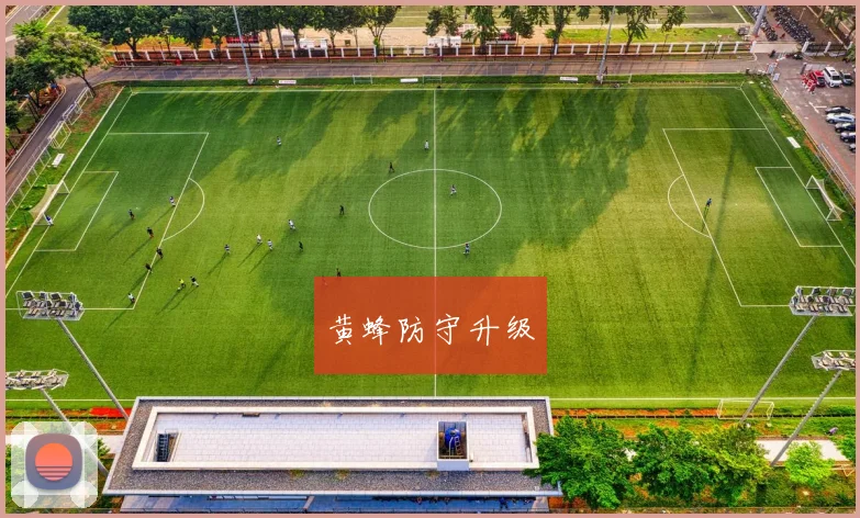 黄蜂防守升级