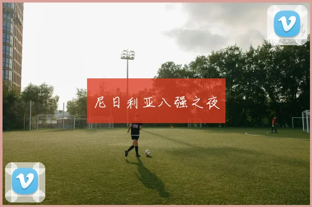尼日利亚八强之夜