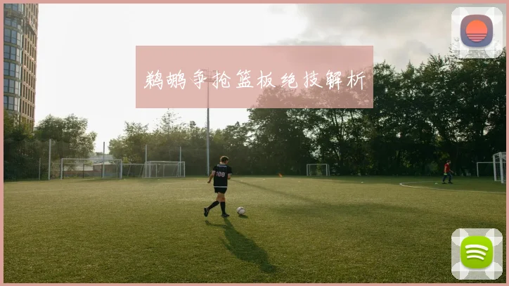 鹈鹕争抢篮板绝技解析