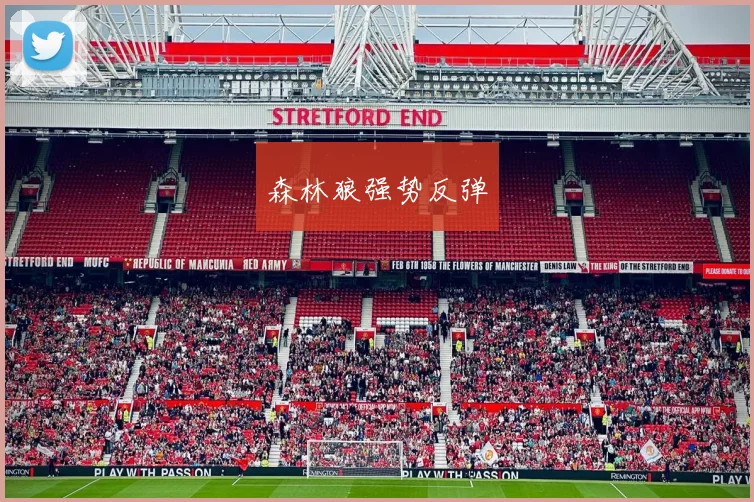 森林狼强势反弹