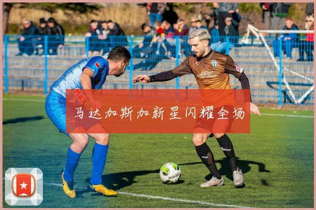 马达加斯加新星闪耀全场