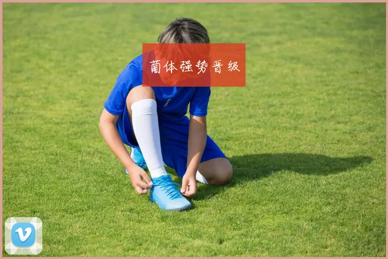 葡体强势晋级