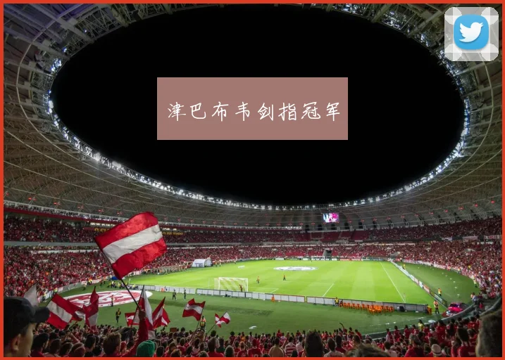 津巴布韦剑指冠军