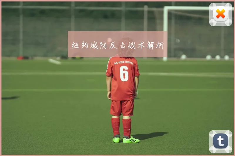纽约城防反击战术解析