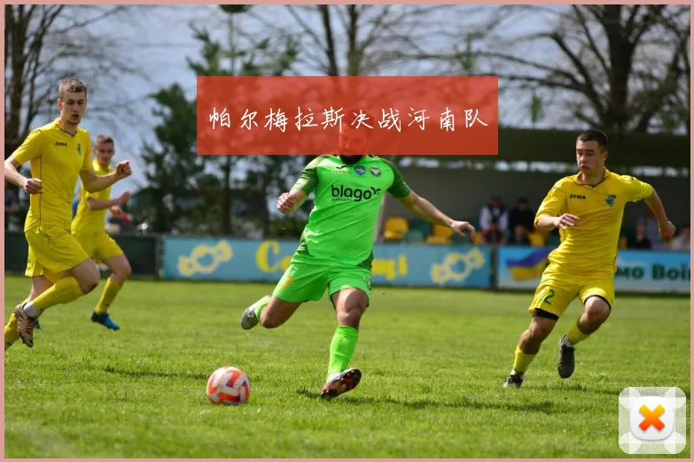 帕尔梅拉斯决战河南队