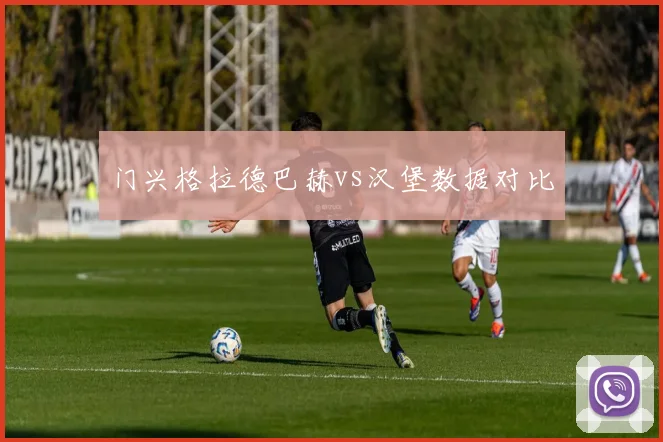 门兴格拉德巴赫vs汉堡数据对比