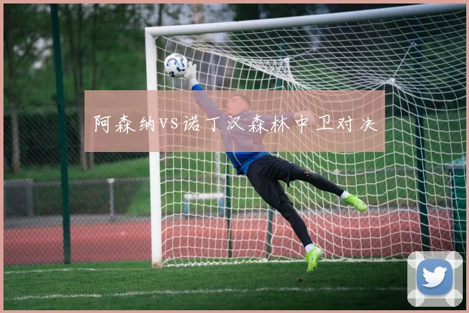 阿森纳vs诺丁汉森林中卫对决